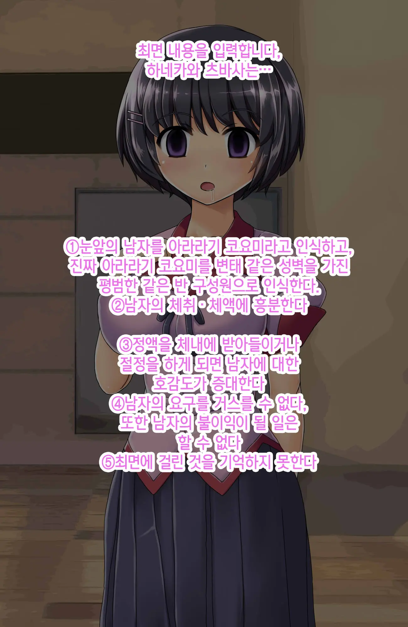 Hisshi Ni Teikou Suru Bishoujo 2-Ri O Gangan Saimin Rape Chinpo Ana Ni Suru Hanashi